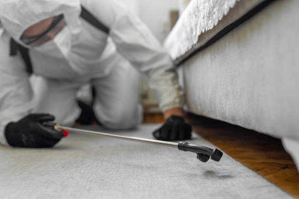 Professional Bed Bug Control technician working in Union City, NJ