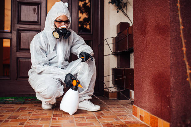 Reliable Bed Bug Control contractor in Union City, NJ by Nex Pest Control