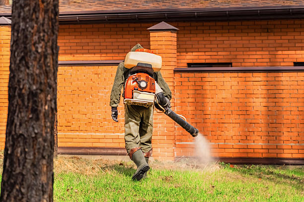 Trusted Termite Control service in Union City, NJ - Nex Pest Control